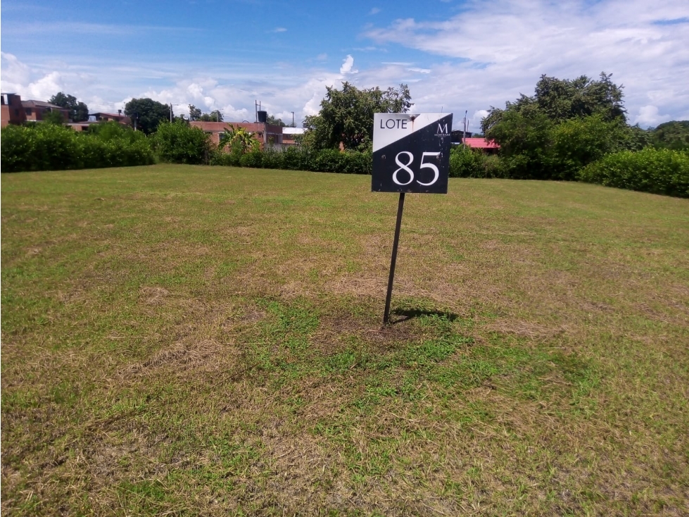 Venta lote en conjunto Montanar Reservado vía el Guamo, Saldaña - 2