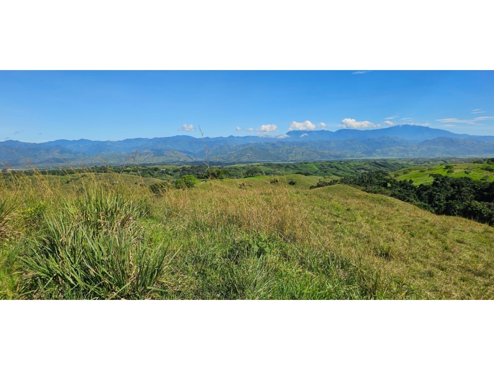 Lotes en Venta en Cerritos, Pereirra — foto 2