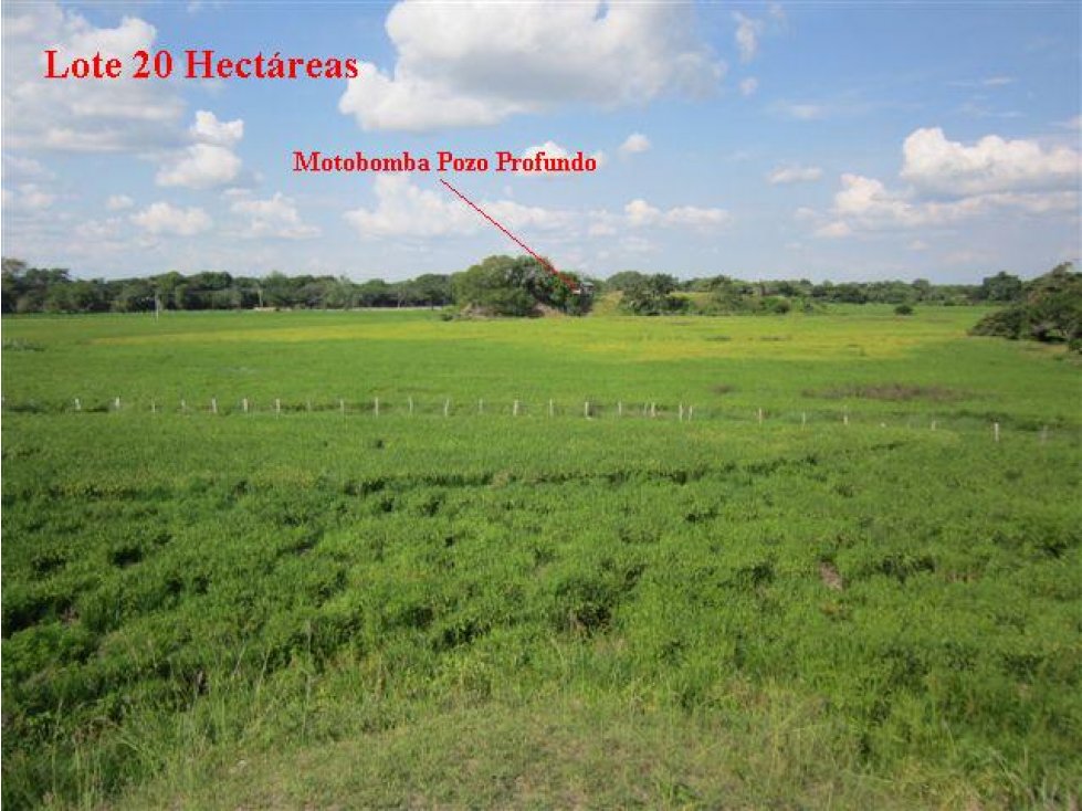 Oportunidad Venta Finca, Guamo - 2