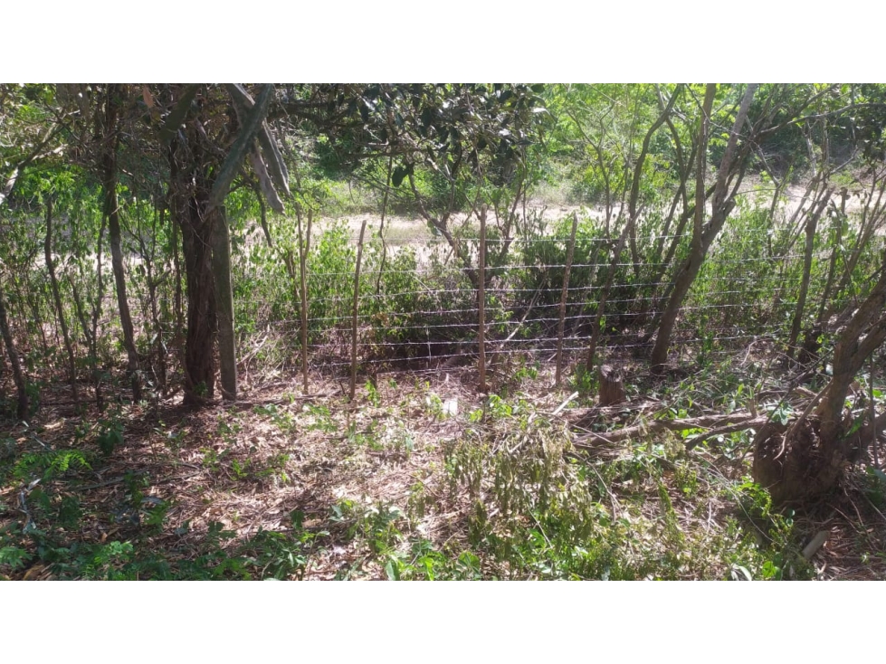 Venta Lote Zona Norte Urbanización Almeria, Cartagena — foto 4