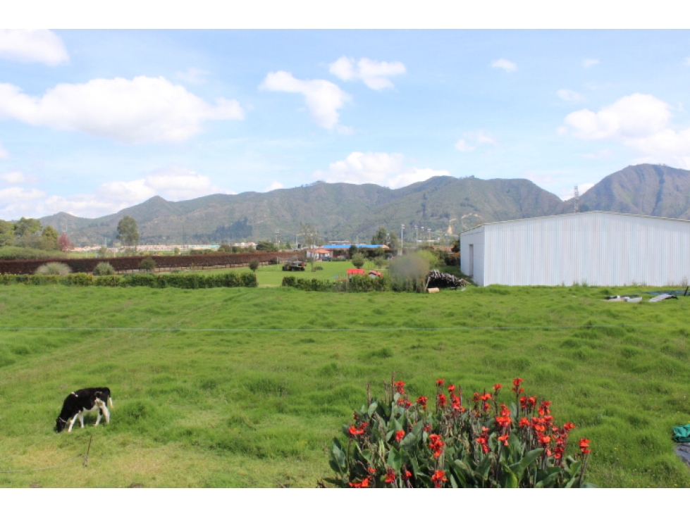 Arriendo Lote Suba Uso múltiple, Bogotá - 4