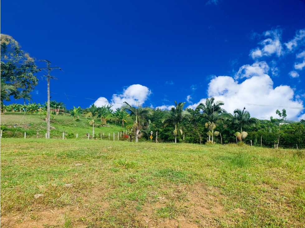 Lotes en Venta en Cerritos, Pereirra — foto 3