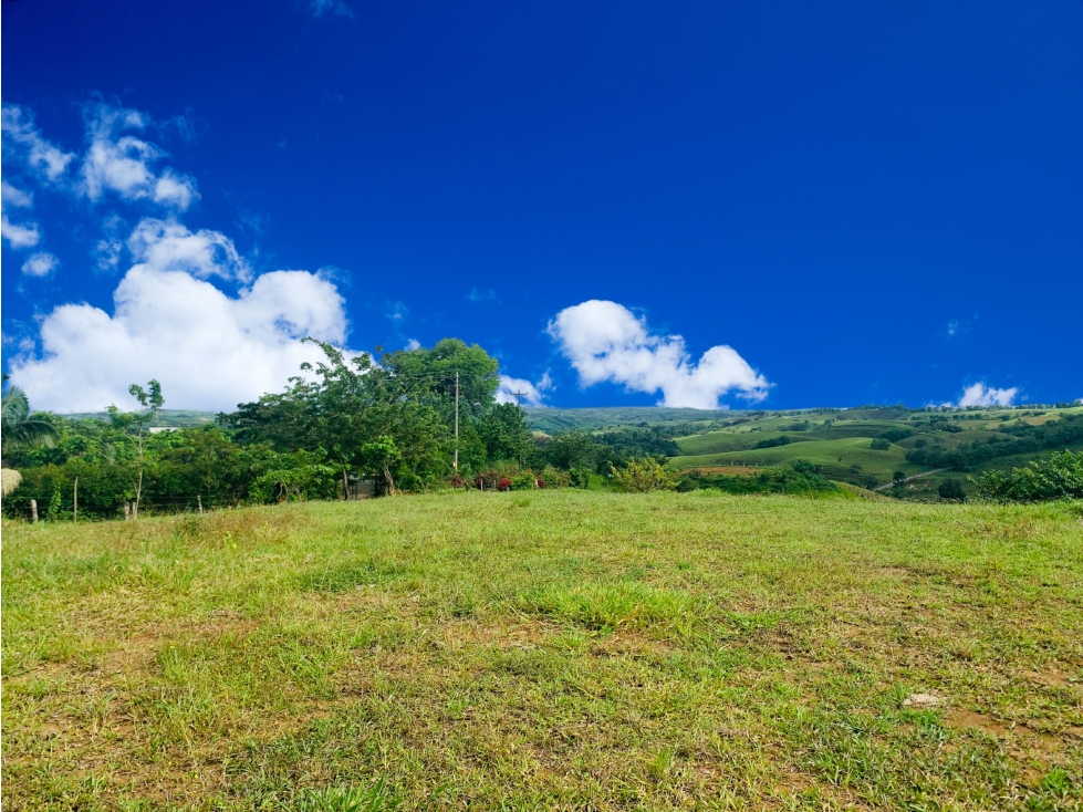 Lotes en Venta en Cerritos, Pereirra — foto 4