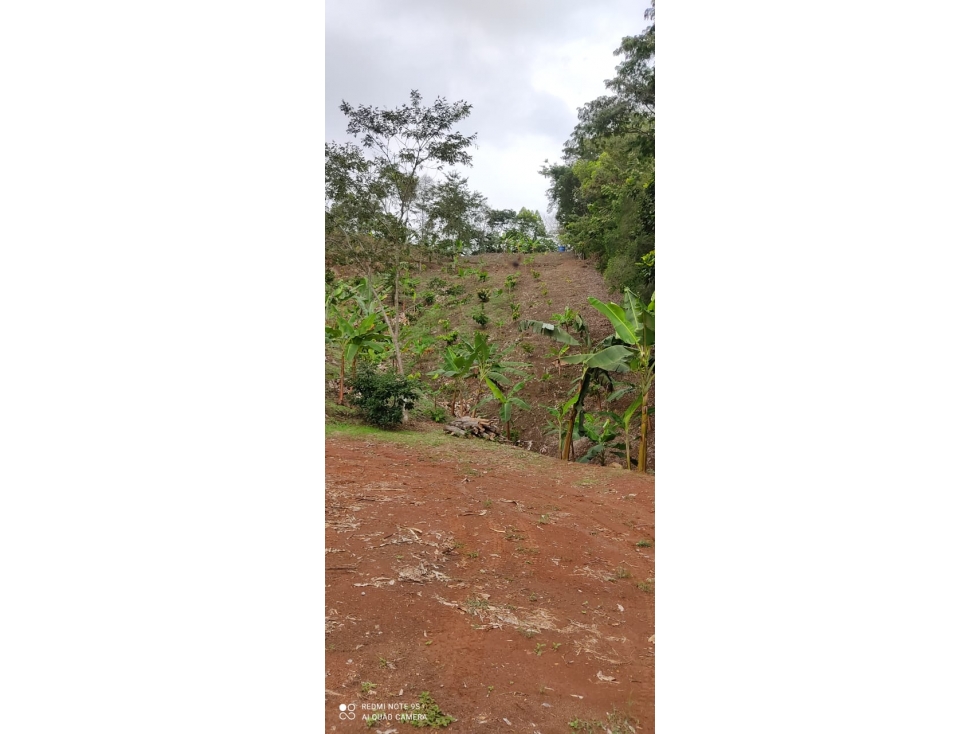 Venta Finca Vereda San Juan, Mariquita - 4