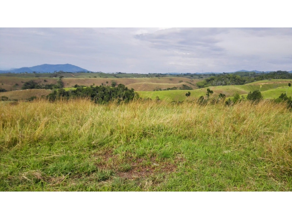 Venta de Lotes en Cerritos, Pereira — foto 5