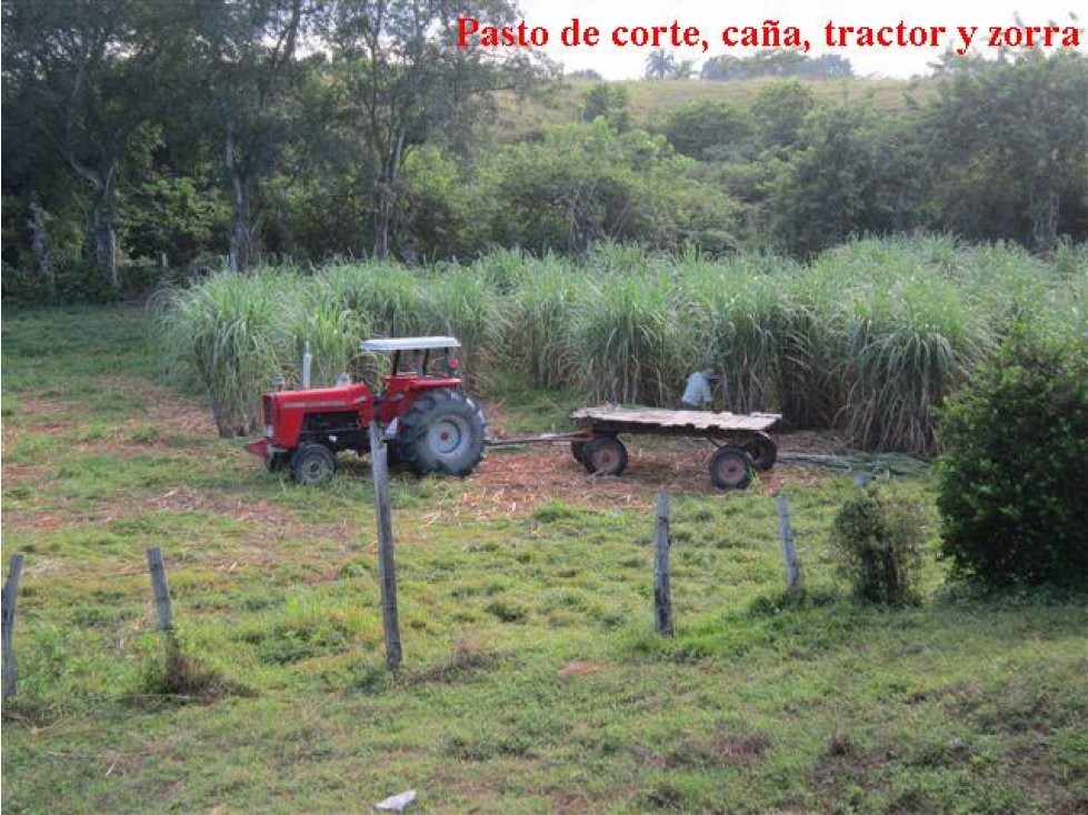 Oportunidad Venta Finca, Guamo - 4