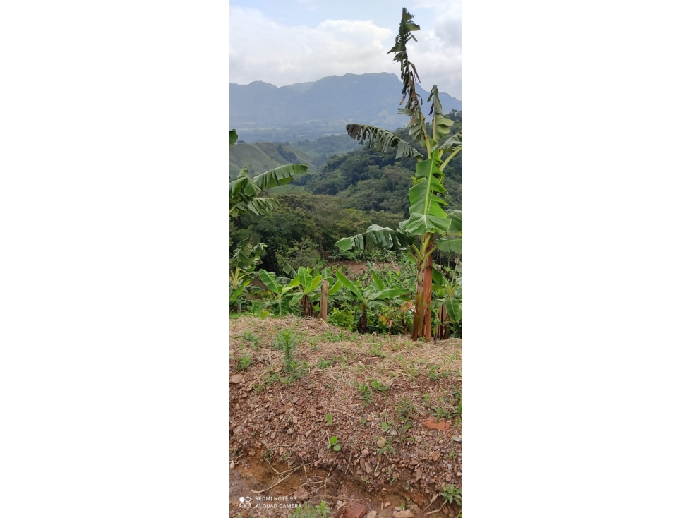 Venta Finca Vereda San Juan, Mariquita - 3