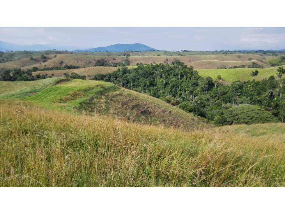 Venta de Lotes en Cerritos, Pereira — foto 6