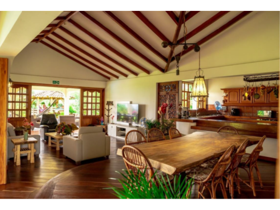 Venta finca Santagueda, Palestina - 5