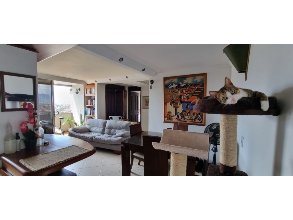 Apto belen la mota ultimo piso con hermosa vista — foto 3