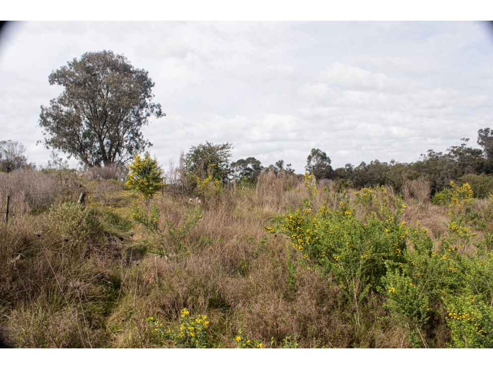 LOTE vistas Sierras de Tandil VENDE o PERMUTA, Zona QUINTA SAN GABRIEL — foto 5