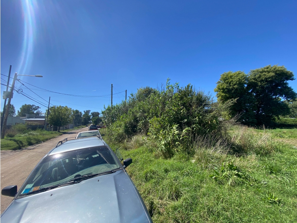 En Venta Lote 1000m2. Tandil - 5
