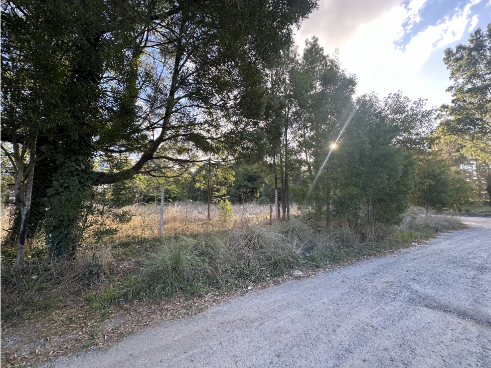 Lote en Venta 2.000 m2. Zona de Quintas. Tandil — foto 3