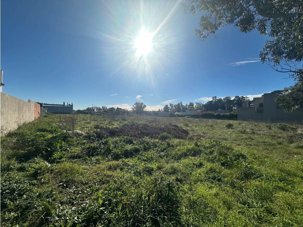Lote sobre Av. Pedersen (972 mts2) - 1