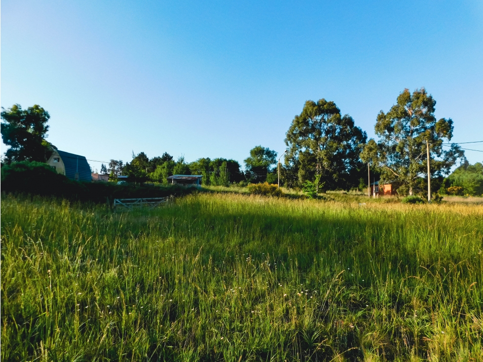Lotes en La Porteña de Tandil para casa quinta desde 2.250m² — foto 3