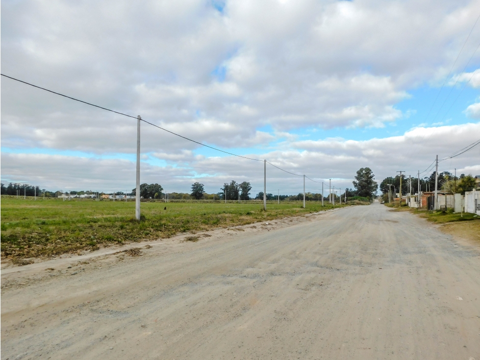 Lote 1000 mts. (PH) En venta. Tandil - 2
