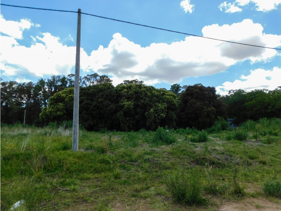 Lote en Venta 291 M2. Tandil - 2