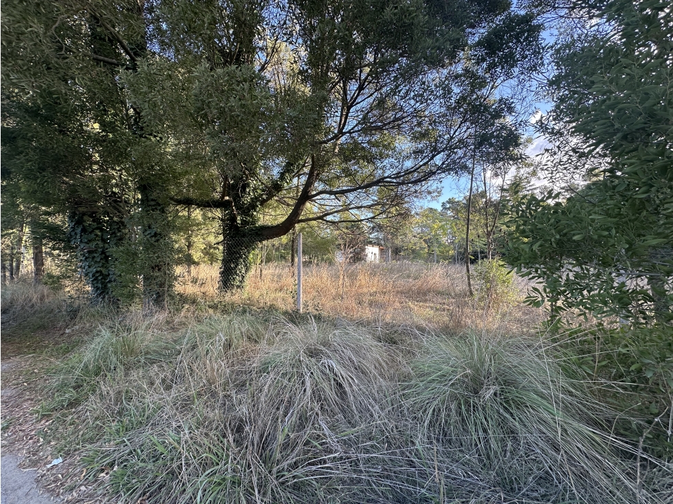 Lote en Venta 2.000 m2. Zona de Quintas. Tandil — foto 5