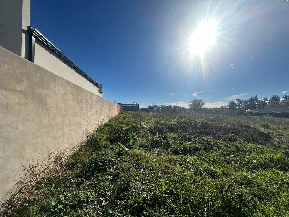 Lote sobre Av. Pedersen (972 mts2) - 2