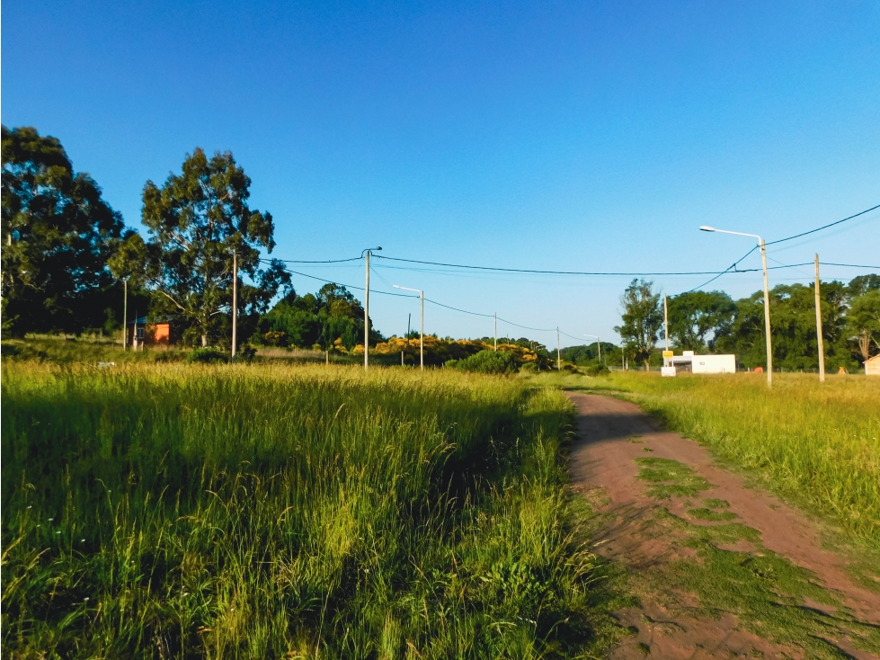 Lotes en La Porteña de Tandil para casa quinta desde 2.250m² — foto 2