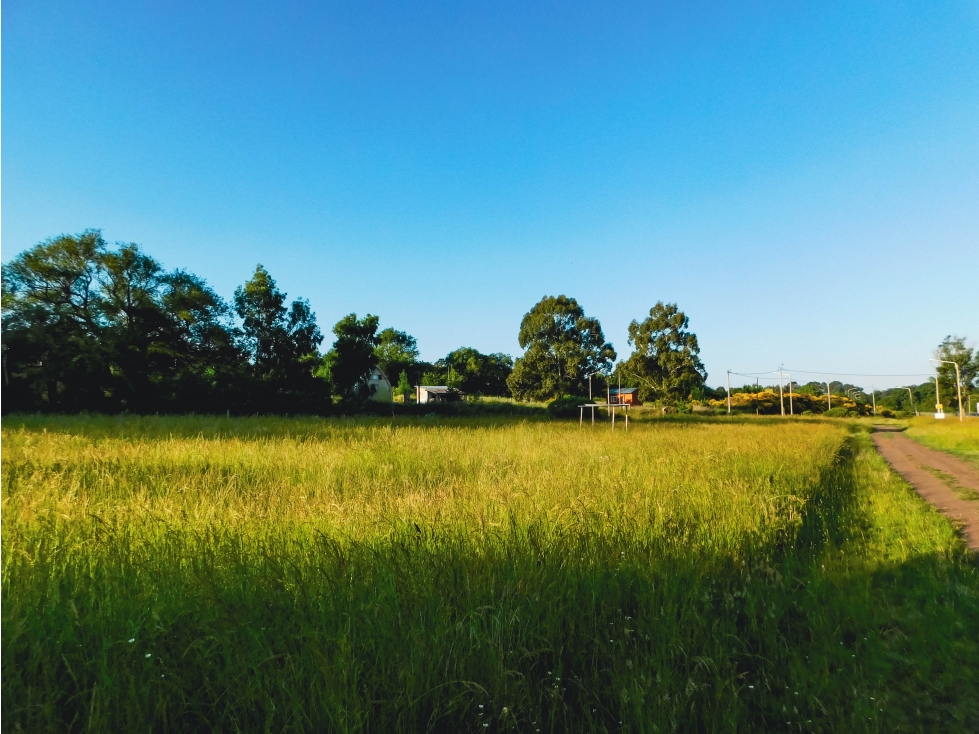 Lotes en La Porteña de Tandil para casa quinta desde 2.250m²