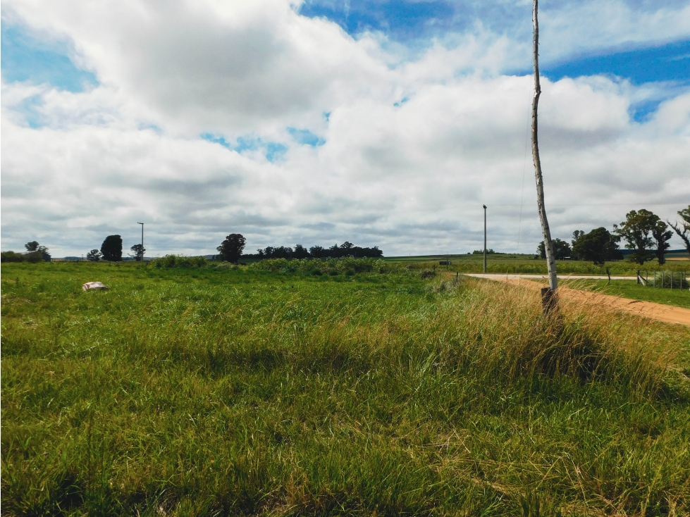 Lotes PH en venta Gardey, Partido de Tandil - 6