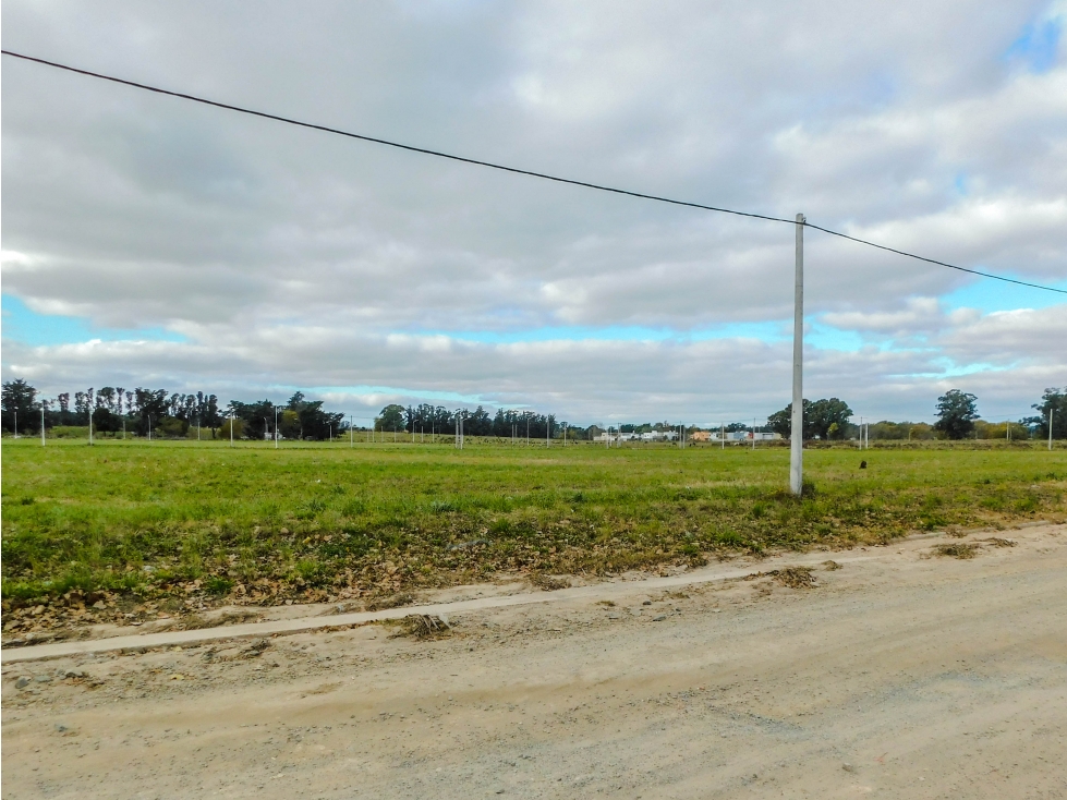 Lote 1000 mts. (PH) En venta. Tandil - 3
