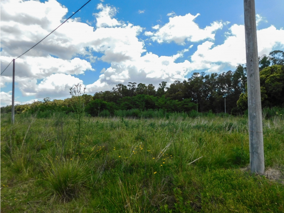 Lote en Venta 291 M2. Tandil - 3