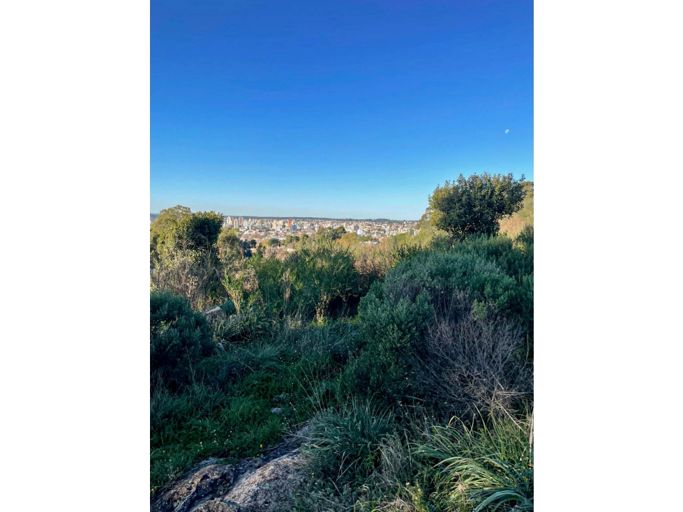 Lote en venta sobre calle O'higgins - 4