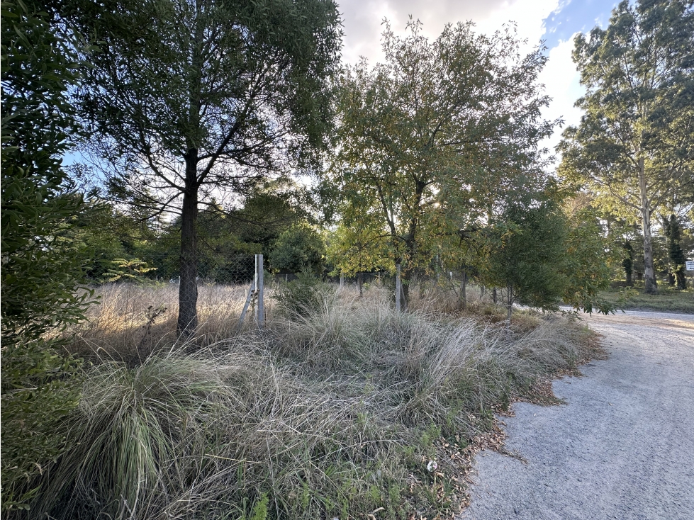 Lote en Venta 2.000 m2. Zona de Quintas. Tandil — foto 6