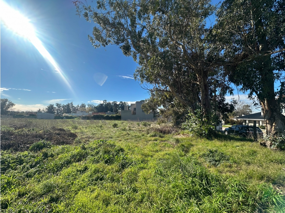 Lote sobre Av. Pedersen (972 mts2) - 3