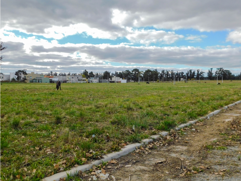 Lotes en Venta de 2000 m2. Loteo Chacra 30. Tandil - 4