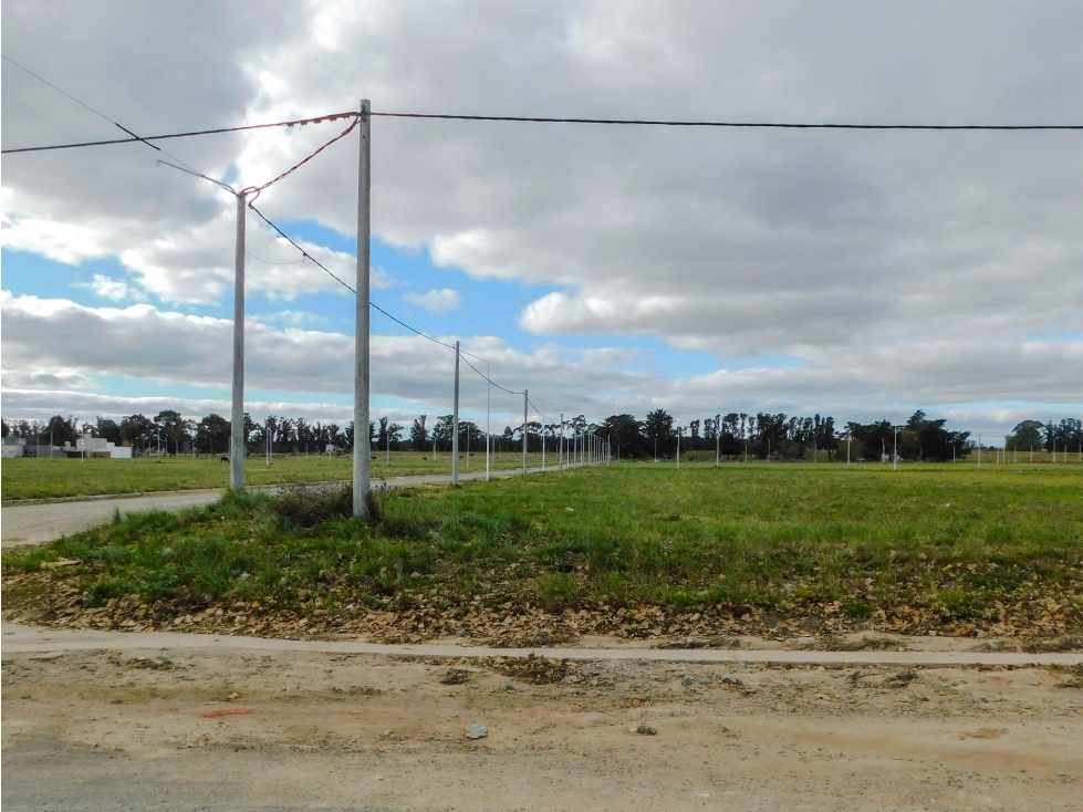 Lote 1000 mts. (PH) En venta. Tandil - 4