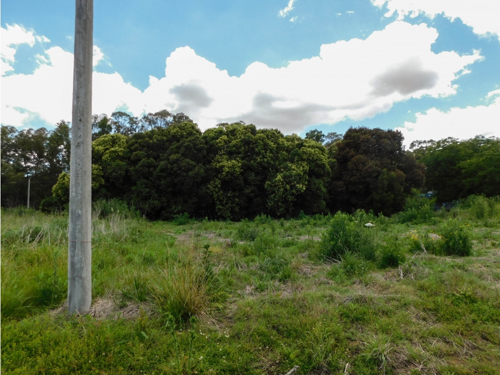 Lote en Venta 291 M2. Tandil - 4