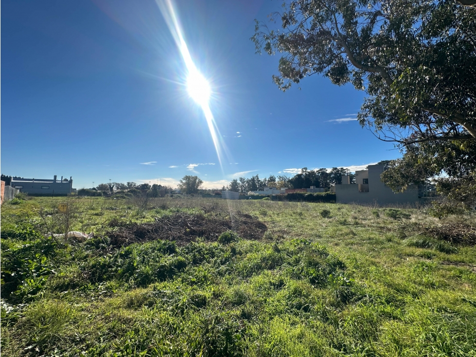 Lote sobre Av. Pedersen (972 mts2) - 4