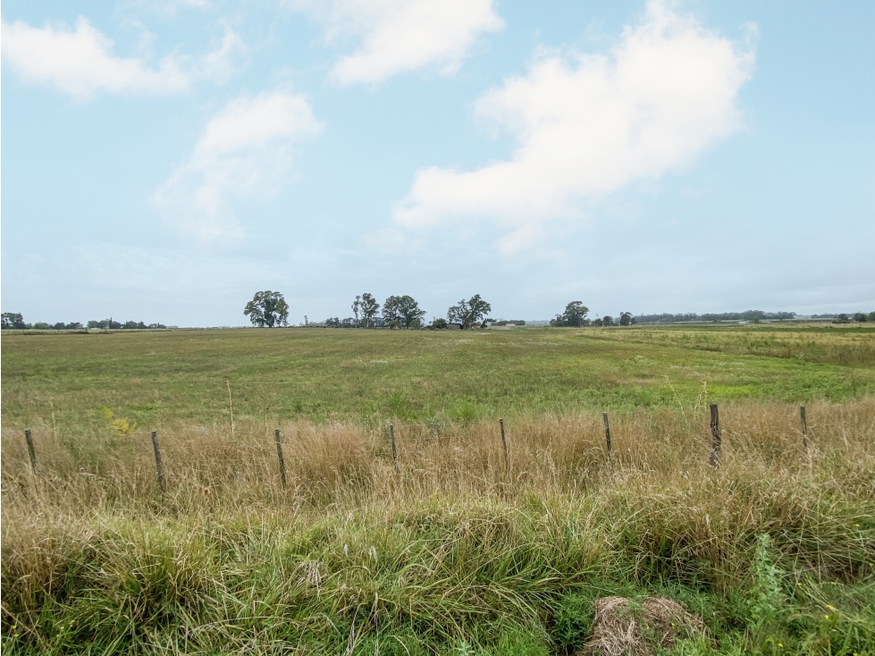 Lotes en venta de 4214 m2 - 1