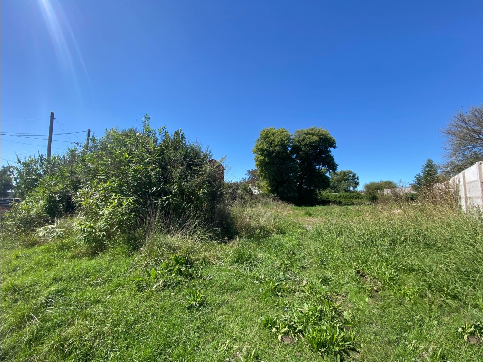 En Venta Lote 1000m2. Tandil - 4