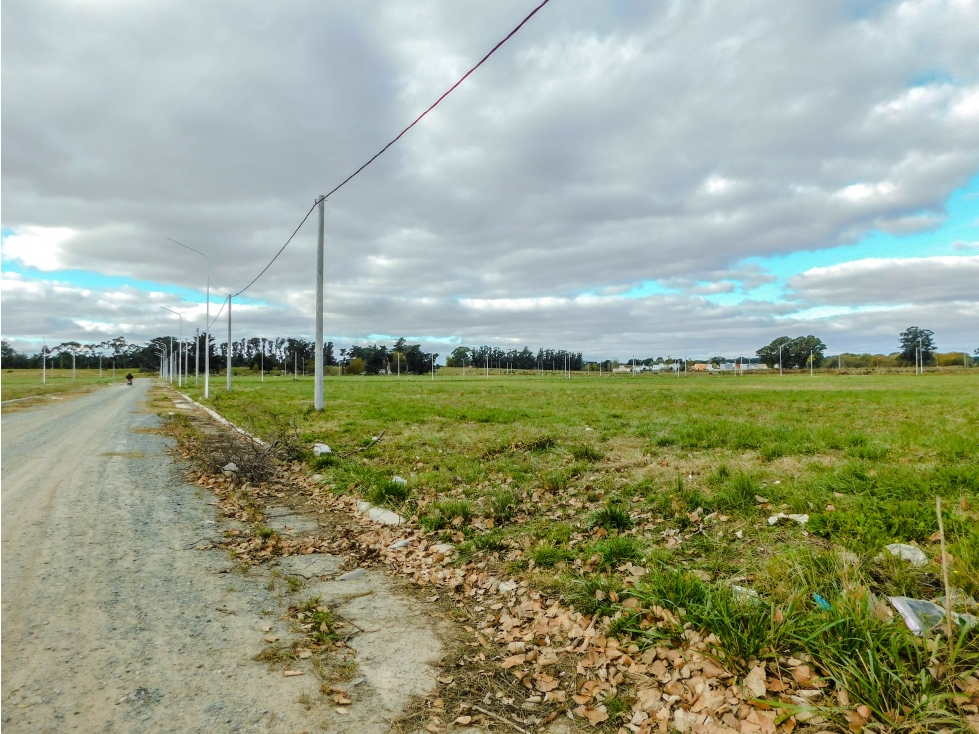 Lotes en Venta de 2000 m2. Loteo Chacra 30. Tandil - 5