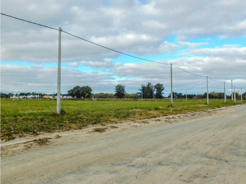 Lote 1000 mts. (PH) En venta. Tandil - 5