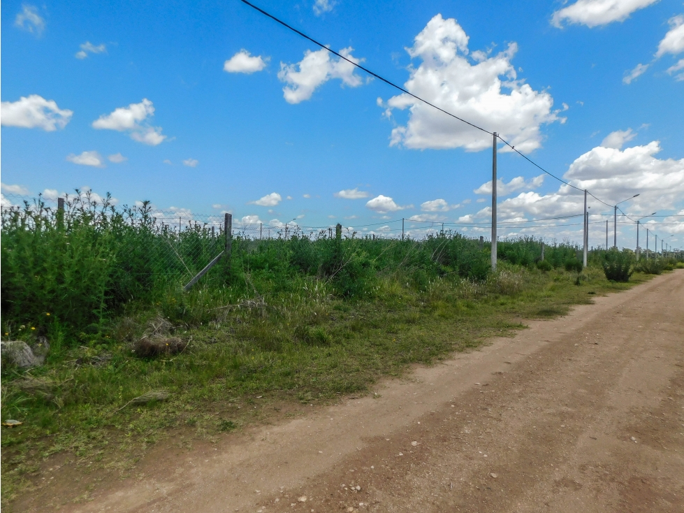Lote en Venta 291 M2. Tandil - 5