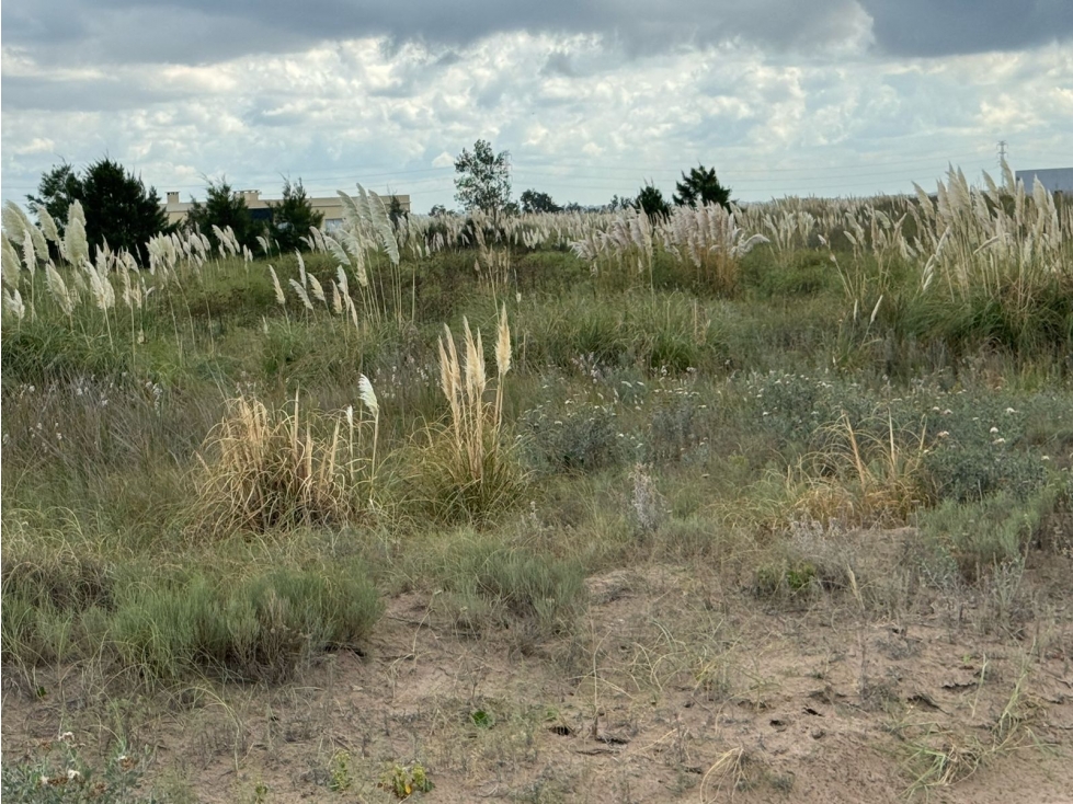 LOTES en Venta en CHACRAS MARITIMAS EL SALVAJE. VILLA GESELL. - 5