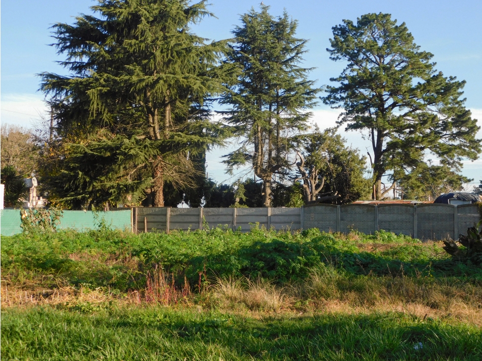 Lote Circunvalacion - 3