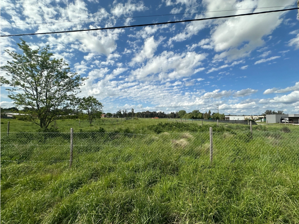 En VENTA Lote 1300m2. TANDIL - 3