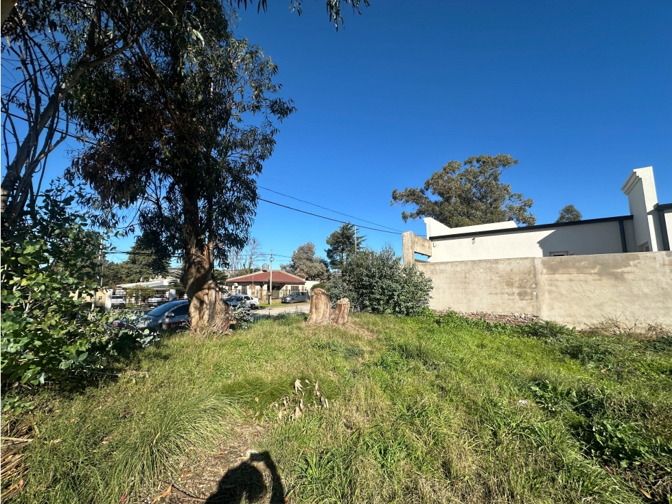 Lote sobre Av. Pedersen (972 mts2) - 5