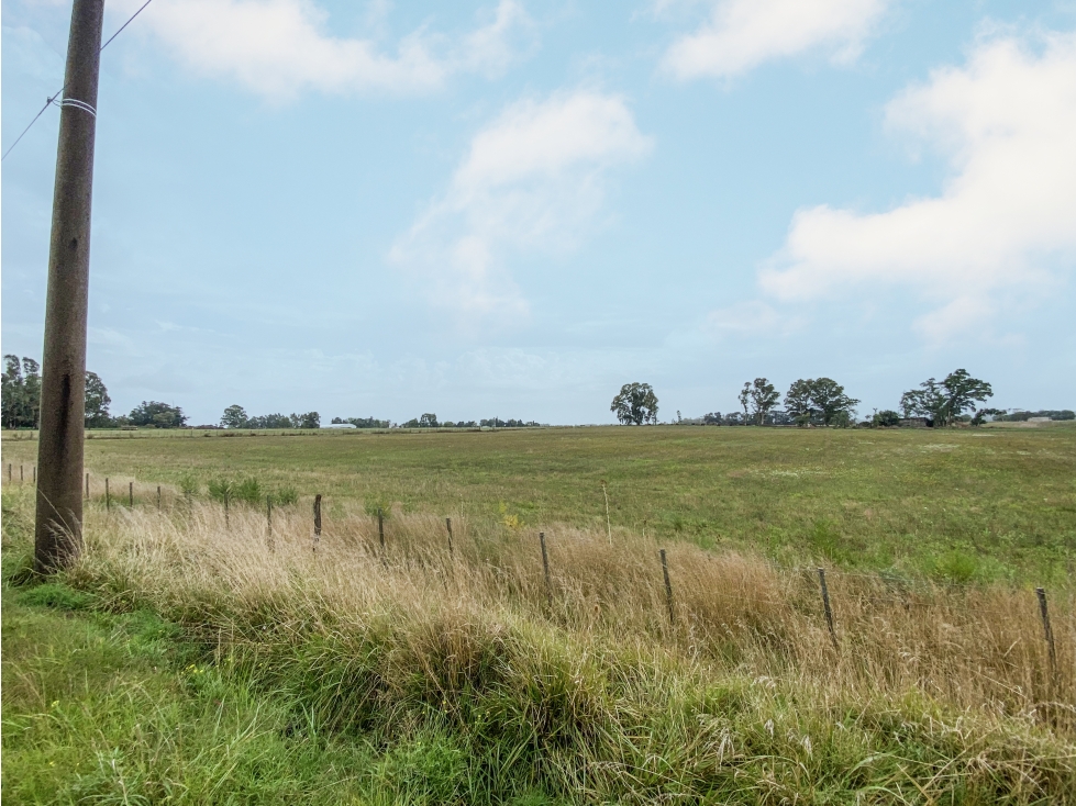Lotes en venta de 4214 m2 — foto 2