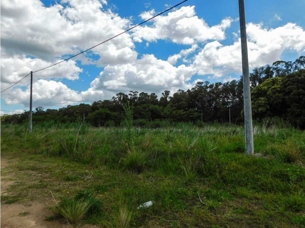 Lote en Venta 291 M2. Tandil - 6