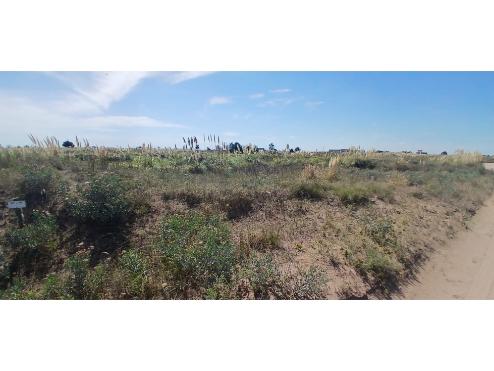 LOTES en Venta en CHACRAS MARITIMAS EL SALVAJE. VILLA GESELL. - 6