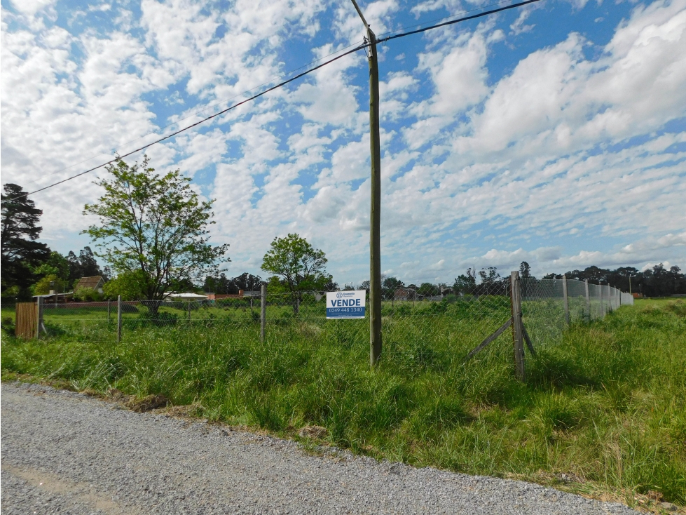 En VENTA Lote 1300m2. TANDIL - 4