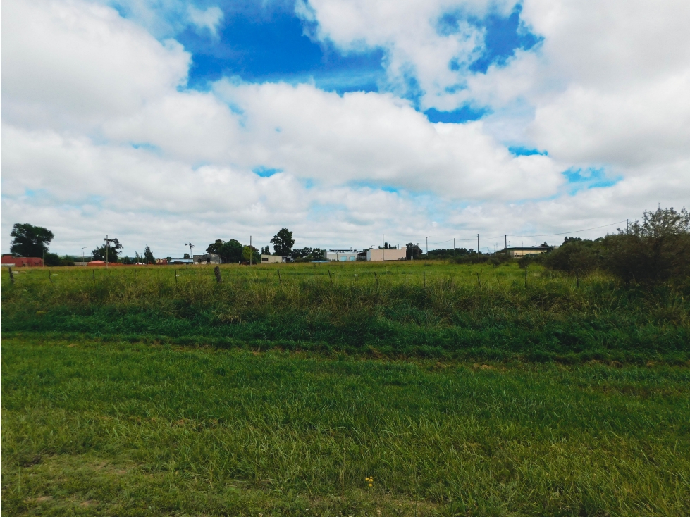 Lote EN VENTA en Gardey, Tandil, terreno 4.629m2 aprobada división PH — foto 5