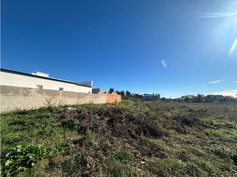 Lote sobre Av. Pedersen (972 mts2) - 6